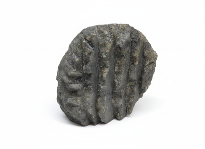 Labradorite Semi-Brute Ma boutique