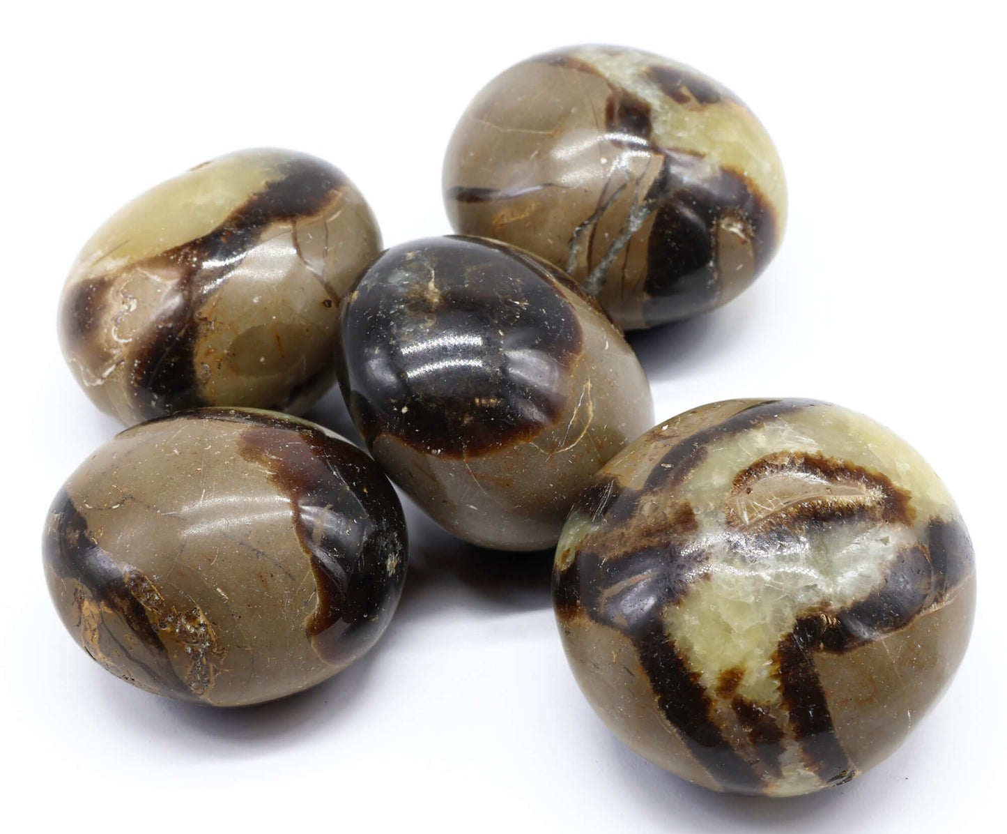 Pierre roulée Septaria